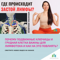Почему подвижные ключицы и грудная клетка ВАЖНЫ ДЛЯ ЛИМФОТОКА и как на это повлиять?